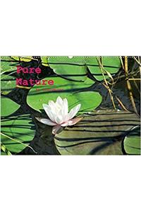 Pure Nature / UK-Version 2018