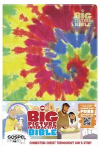 Big Picture Interactive Bible for Kids-HCSB