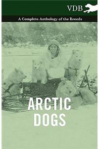Arctic Dogs - A Complete Anthology of the Breeds -