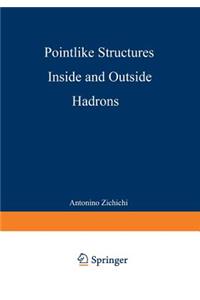 Pointlike Structures Inside and Outside Hadrons