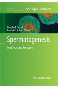 Spermatogenesis