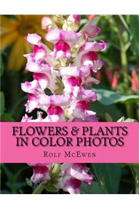 Flowers & Plants in Color Photos