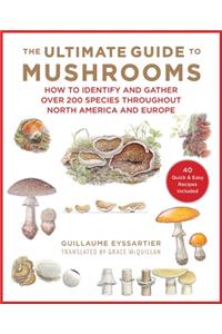 The Ultimate Guide to Mushrooms
