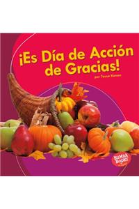 ¡Es Día de Acción de Gracias! (It's Thanksgiving!)