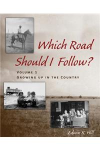 Which Road Should I Follow? Volume I