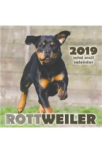 Rottweiler 2019 Mini Wall Calendar