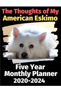 The Thoughts of My American Eskimo