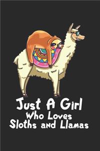 Faultier reitet auf Lama Notizbuch