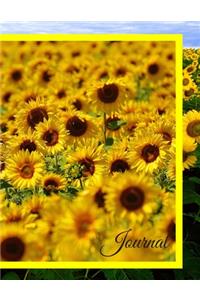 Journal: Sunflower Yellow Flowers Lined Notebook Journal For Notes Blank Paper Large ( 8.5 11 inches )100 pages