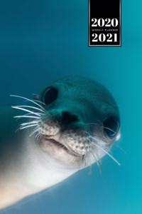Seal Manatee Sea Lion Cow Walrus Dugong Week Planner Weekly Organizer Calendar 2020 / 2021 - Underwater