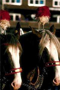 2020 Daily Planner Horse Photo Equine Draft Horse Tandem 388 Pages