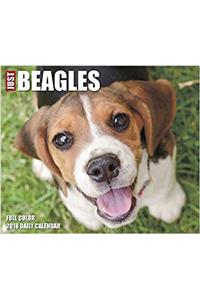 Just Beagles 2018 Box Calendar (Dog Breed Calendar)
