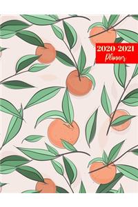 2020-2021 Planner