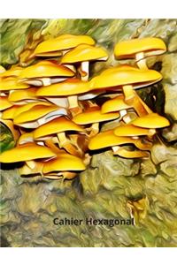 Cahier Hexagonal