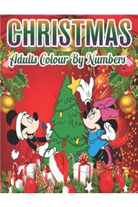 Christmas Adults Colour By Numbers