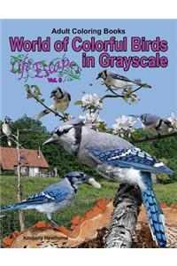 Adult Coloring Books World of Colorful Birds in Grayscale