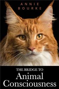 Bridge To Animal Consciousness