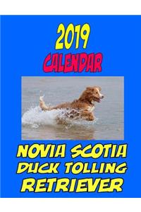 2019 Calendar Novia Scotia Duck Tolling Retriever