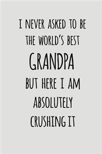 I Never Asked To Be The World's Best Grandpa But Here I Am Absolutely Crushing It