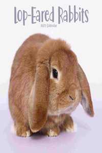 Lop eared Rabbits Square Wall Calendar 2023