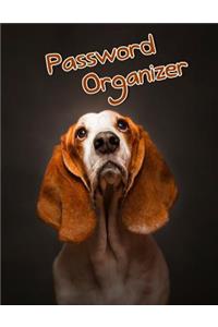 Password Organizer