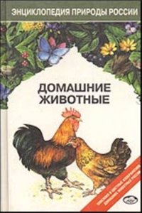 Nederlandsche Zeereizen: In Het Laatst Der Zestiende, Zeventiende En Het Begin Der Achtiende Eeuw . (Dutch Edition)