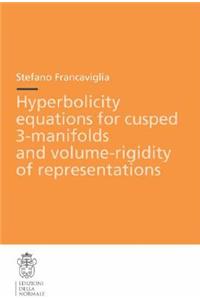 Hyperbolicity Equations for Cusped 3-Manifolds and Volume-Rigidity of Representations