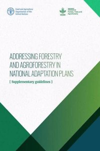 Addressing forestry and agroforestry in national adaptation plans