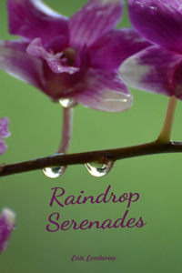 Raindrop Serenades