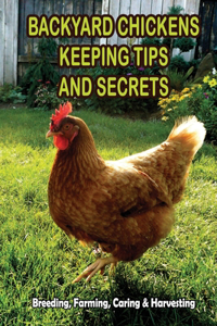 Backyard Chickens Keeping Tips and Secrets