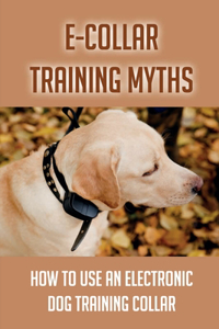 E-Collar Training Myths
