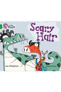 Scary Hair Workbook