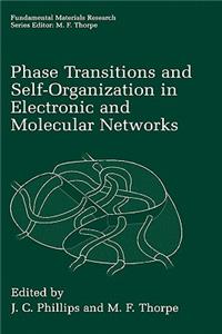 Phase Transitions and Self-Organization in Electronic and Molecular Networks