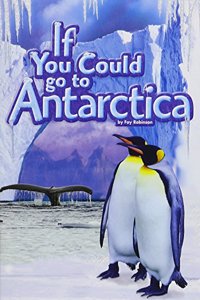 If You Could Go to Antarctica