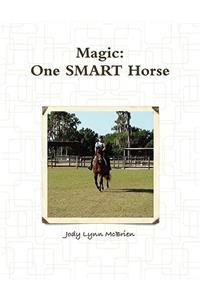 Magic One SMART Horse