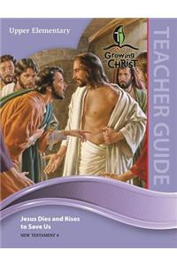 Upper Elementary Teacher Guide (Nt4)