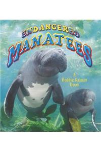 Endangered Manatees