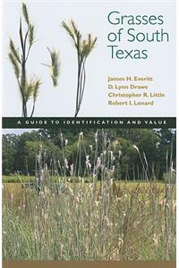 Grasses of South Texas