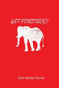 Got Fortitude?