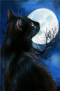 Black Cat Diary