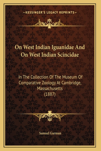 On West Indian Iguanidae And On West Indian Scincidae