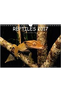 Reptiles / UK-Version 2017