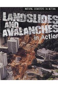 Landslides and Avalanches in Action