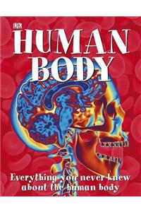 Amazing Human Body