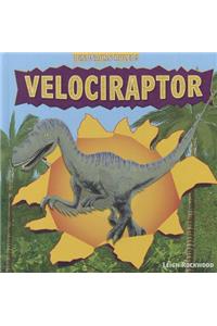 Velociraptor