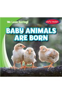 Baby Animals Are Born