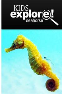 Seahorse - Kids Explore
