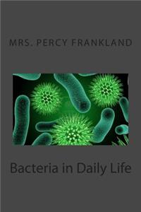 Bacteria in Daily Life