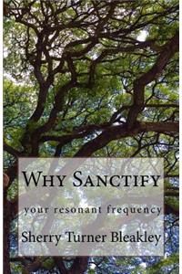 Why Sanctify