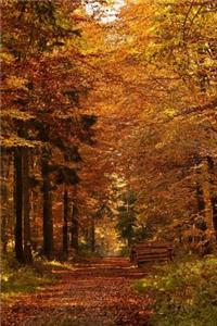 Forest Path in the Fall Journal
